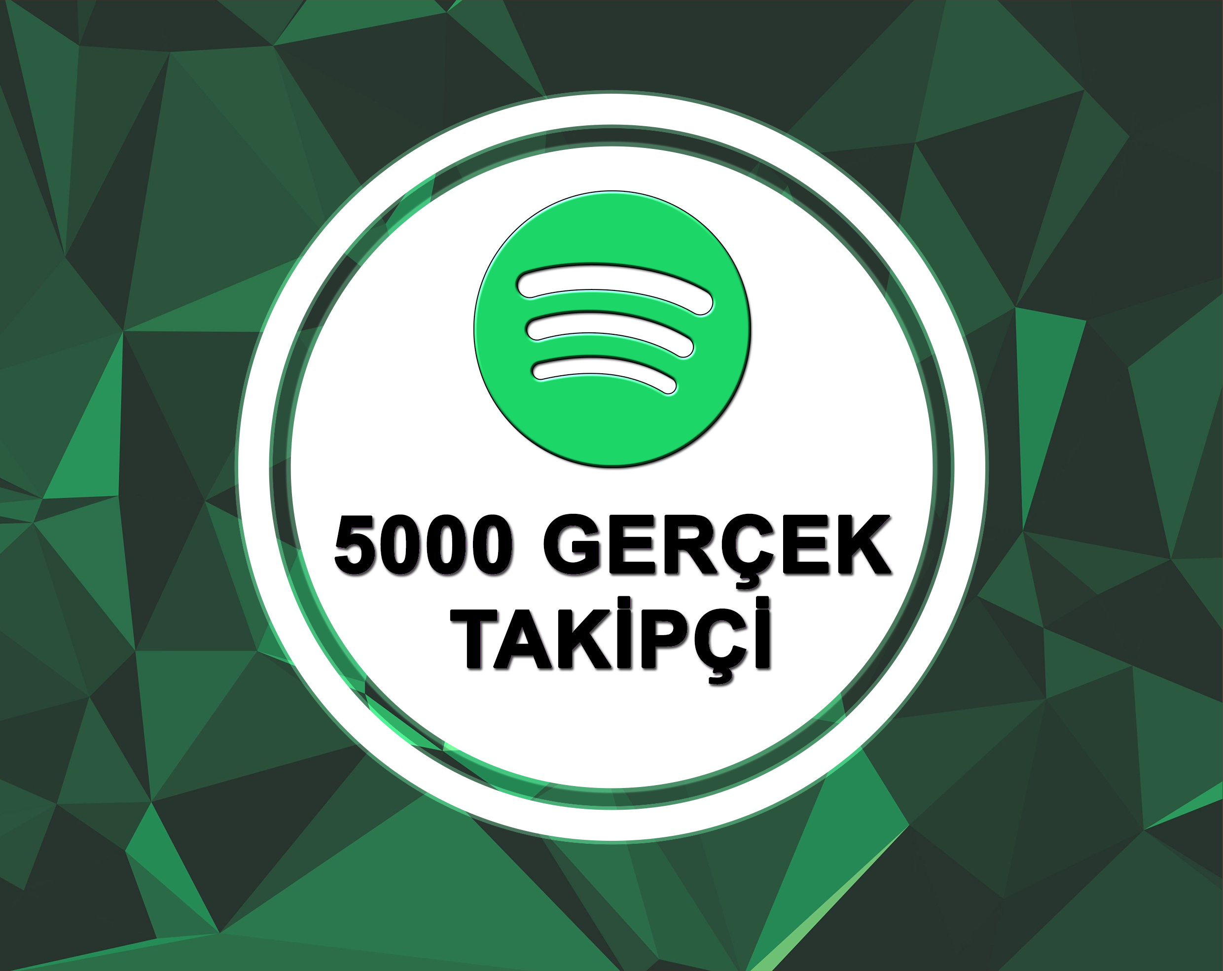 5000 Spotify Takipçi